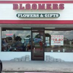 Bloomers Flowers