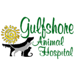 Gulf Shore Animal Hospital